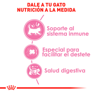 Royal Canin Mom & BabyCat Alimento Seco para Gestación / Lactancia o Destete para Gato, 1.3 kg