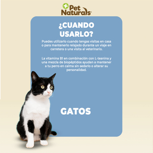 Pet Naturals Calmantes Naturales Masticables para Gato, 21 Piezas