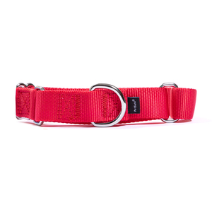 Petsafe Collar de Adiestramiento Martingale Color Rojo para Perro, Grande