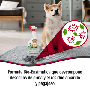 Nature's Miracle Limpiador Enzimático para Orina de Perro, 946 ml