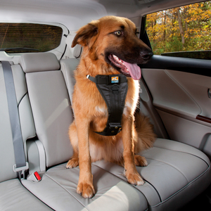Kurgo Arnés para Viaje en Coche y Paseo Ajuste Romano para Perro, Mediano