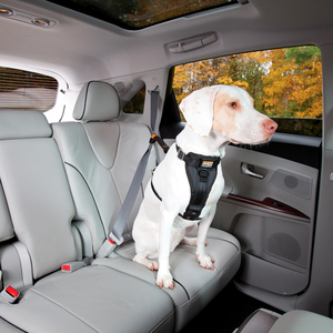 Kurgo Arnés para Viaje en Coche y Paseo Ajuste Romano para Perro, Mediano
