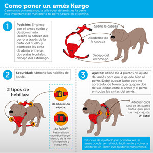 Kurgo Arnés para Viaje en Coche y Paseo Ajuste Romano para Perro, Mediano