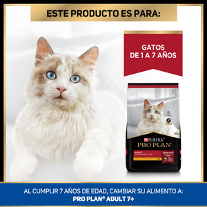 Pro Plan Optiprebio Alimento Seco para Gato Adulto Receta Pollo y Arroz, 3 kg