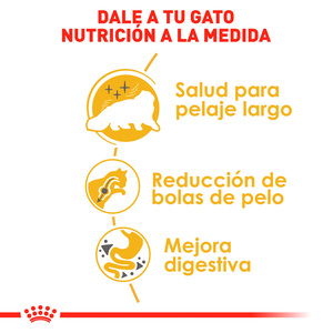 Royal Canin Alimento Seco para Gato Persa Adulto Receta Pollo, 3.1 kg