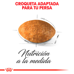 Royal Canin Alimento Seco para Gato Persa Adulto Receta Pollo, 3.1 kg