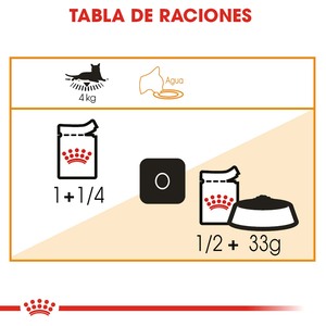 Royal Canin Intense Beauty Alimento Húmedo Piel y Pelo Saludable para Gato Adulto, 85 g