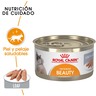 Royal Canin Intense Beauty Alimento Húmedo Piel y Pelo Saludable para Gato Adulto, 85 g Royal Canin Intense Beauty Alimento Húmedo Piel y Pelo Saludable para Gato Adulto, 85 g