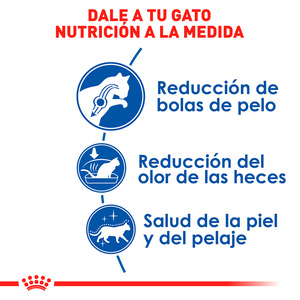 Royal Canin Alimento Seco para Gato Adulto de Interior Receta Pollo, 3.1 kg
