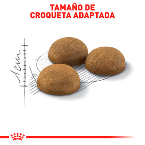 Royal Canin Alimento Seco para Gato Adulto de Interior Receta Pollo, 3.1 kg