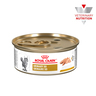 Royal Canin Prescripción Alimento Húmedo para Tracto Urinario para Gato Adulto, 145 g Royal Canin Prescripción Alimento Húmedo para Tracto Urinario para Gato Adulto, 145 g