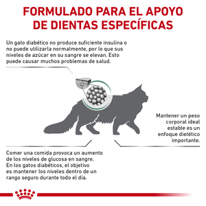Royal Canin Veterinary Diet Glycobalance Alimento Seco Balance Glucémico para Gato Adulto, 2 kg