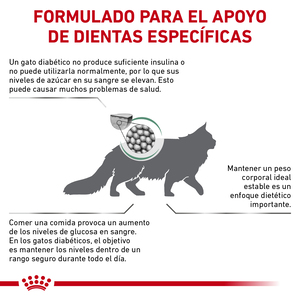 Royal Canin Prescripción Glycobalance Alimento Seco Balance Glucémico para Gato Adulto, 2 kg