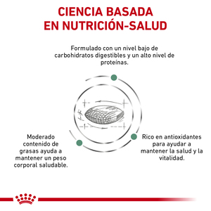 Royal Canin Veterinary Diet Glycobalance Alimento Seco Balance Glucémico para Gato Adulto, 2 kg