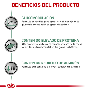 Royal Canin Veterinary Diet Glycobalance Alimento Seco Balance Glucémico para Gato Adulto, 2 kg
