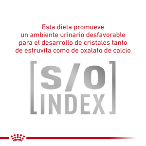 Royal Canin Veterinary Diet Glycobalance Alimento Seco Balance Glucémico para Gato Adulto, 2 kg
