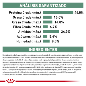 Royal Canin Veterinary Diet Glycobalance Alimento Seco Balance Glucémico para Gato Adulto, 2 kg