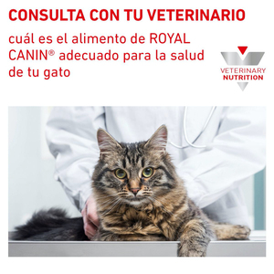 Royal Canin Prescripción Alimento Seco para Tracto Urinario para Gato Adulto, 3.5 kg
