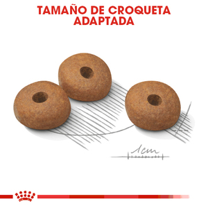 Royal Canin Weight Care Alimento Seco para Perro Adulto Control de Peso Raza Pequeña, 1.1 kg