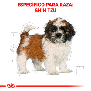 Royal Canin Alimento Seco para Cachorro Raza Shih Tzu, 1.1 kg