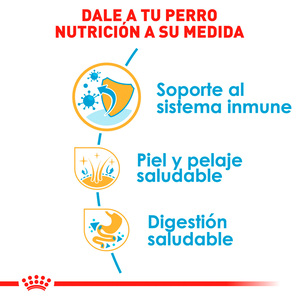 Royal Canin Alimento Seco para Cachorro Raza Shih Tzu, 1.1 kg