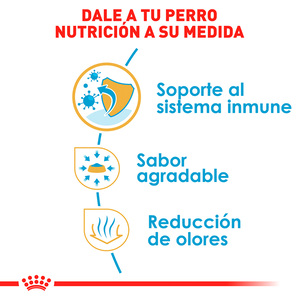 Royal Canin Alimento Seco para Cachorro Raza Chihuahua, 1.1 kg