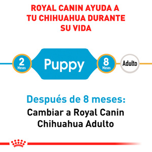 Royal Canin Alimento Seco para Cachorro Raza Chihuahua, 1.1 kg