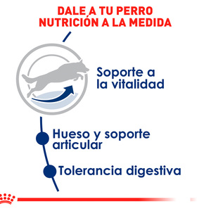Royal Canin Alimento Seco para Perro Senior Raza Grande, 13.6 kg