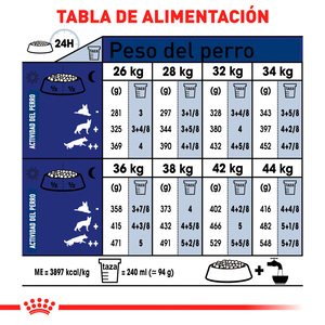 Royal Canin Alimento Seco para Perro Senior Raza Grande, 13.6 kg