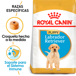 Royal Canin Alimento Seco para Cachorro Raza Labrador Retriever, 13.6 kg