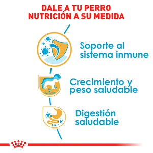 Royal Canin Alimento Seco para Cachorro Raza Labrador Retriever, 13.6 kg
