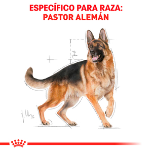 Royal Canin Alimento Seco para Perro Adulto Raza Pastor Alemán, 13.6 kg