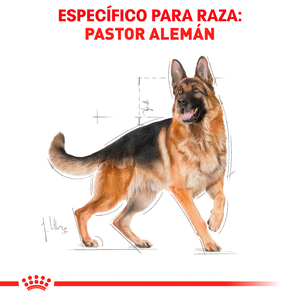 Royal Canin Alimento Seco para perro Adulto Raza Pastor Alemán, 13.6 kg