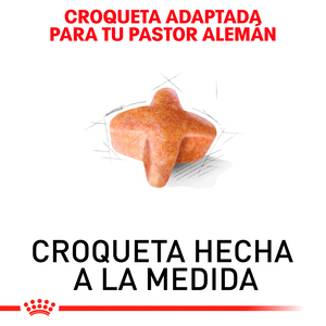 Royal Canin Alimento Seco para Perro Adulto Raza Pastor Alemán, 13.6 kg