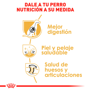 Royal Canin Alimento Seco para Perro Adulto Raza Pastor Alemán, 13.6 kg