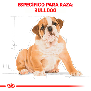 Royal Canin Alimento Seco para Cachorro Raza Bulldog, 13.6 kg