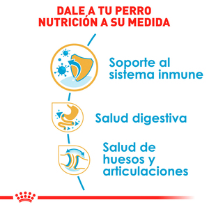 Royal Canin Alimento Seco para Cachorro Raza Bulldog, 13.6 kg