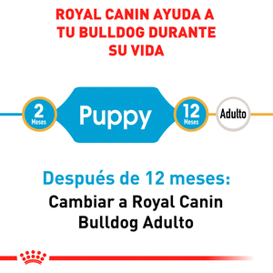 Royal Canin Alimento Seco para Cachorro Raza Bulldog, 13.6 kg