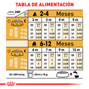 Royal Canin Alimento Seco para Cachorro Raza Bulldog, 13.6 kg