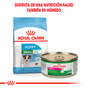 Royal Canin Alimento Seco para Cachorro Raza Pequeña de 2 a 10 Meses, 6.36 kg