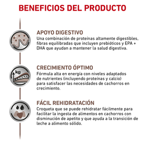 Royal Canin Veterinary Diet Alimento Seco Gastrointestinal para Cachorro, 4 kg