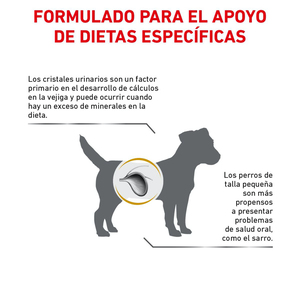 Royal Canin Prescripción Alimento Seco para Tracto Urinario para Perro Adulto Raza Pequeña, 4 kg