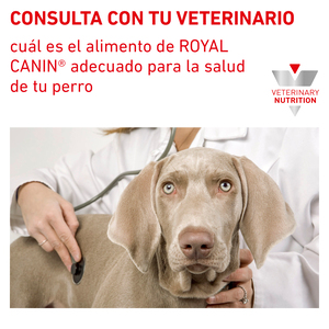 Royal Canin Veterinary Diet Alimento Seco Para Tracto Urinario Para Perro Adulto, 11.5 kg
