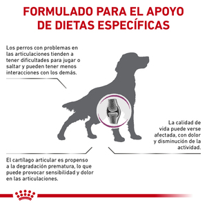 Royal Canin Prescripción Alimento Seco Soporte para Movilidad para Perro Adulto Raza Grande, 12 kg