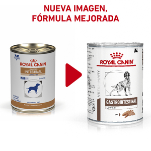 Royal Canin Prescripción Alimento Húmedo Gastrointestinal Bajo en Grasa para Perro Adulto, 385 g