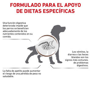 Royal Canin Prescripción Alimento Seco Gastrointestinal Alto en Energía para Perro Adulto, 10 kg
