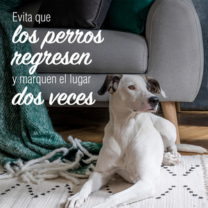 Nature's Miracle Limpiador y Repelente Enzimático para Marcaje con Orina de Perro, 3.7 L