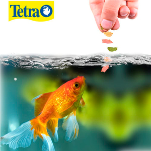 Tetra Fin Alimento en Hojuelas para Goldfish, 200 g