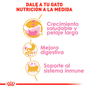 Royal Canin Alimento Seco para Gatito Persa Receta Pollo, 1.3 kg