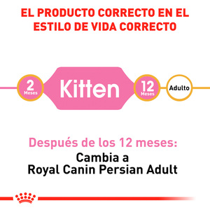 Royal Canin Alimento Seco para Gatito Persa Receta Pollo, 1.3 kg